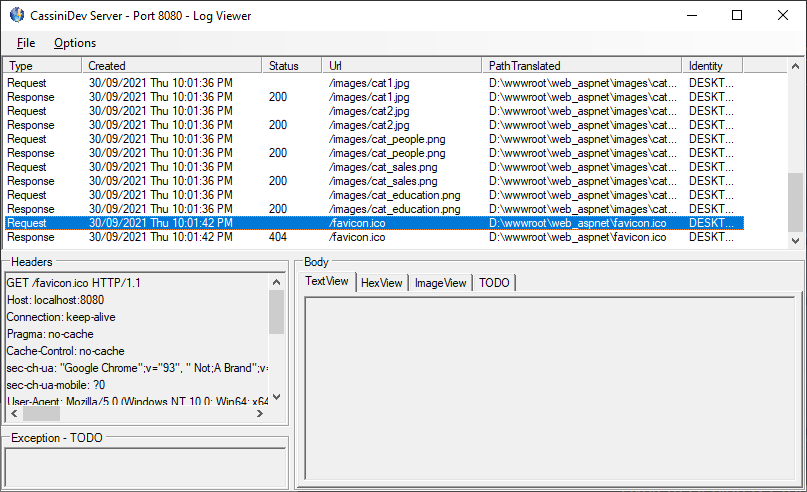 CassiniDev Log Viewer
